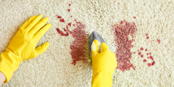 How to Get Blood Stains out of a Carpet